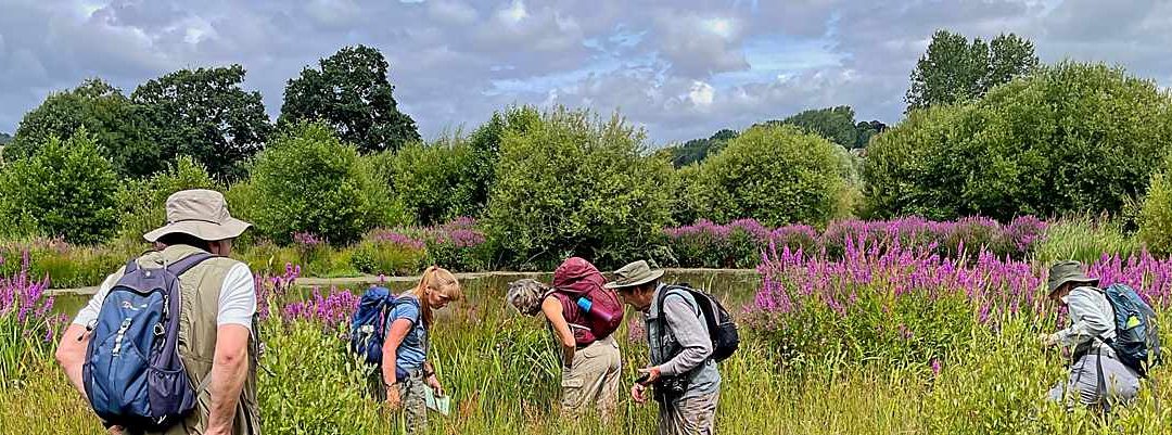 BNHS members by the pond at Bathampton Meadow © Chris Woods